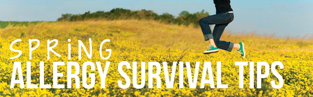 spring allergy survival tips