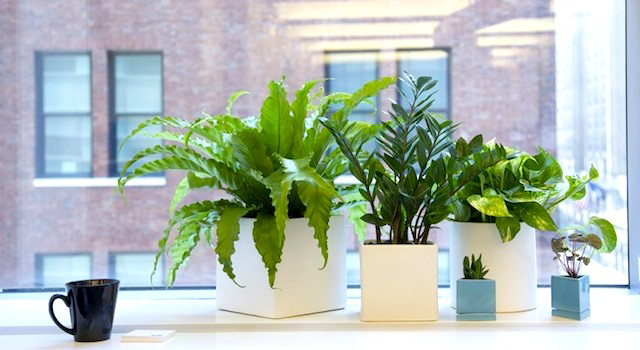 blog-improve-your-office-health