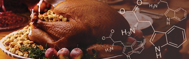 blog-turkey-tryptophan