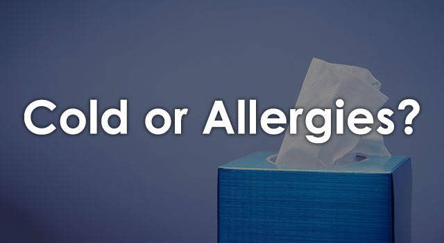 blog-quiz-is-it-cold-or-allergies