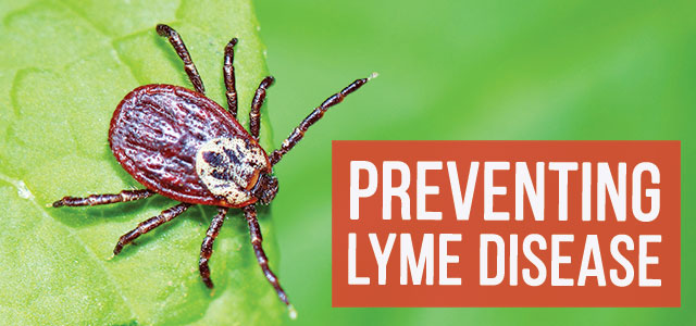 blog-prevent-lymr-disease