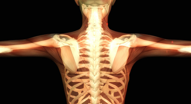 blog-vitamin-d-bone-health