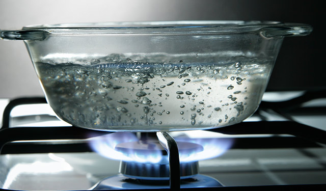 blog-neti-pot-water