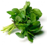 blog-watercress