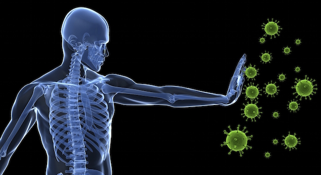 blog-immune-system