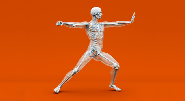 blog-musculoskeletal