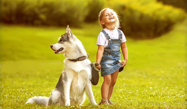 blog-dogs-kids-allergies