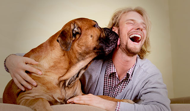 blog-dogs-mental-health