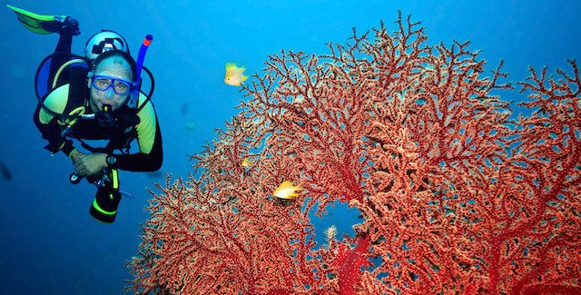blog-coral-scuba-diving