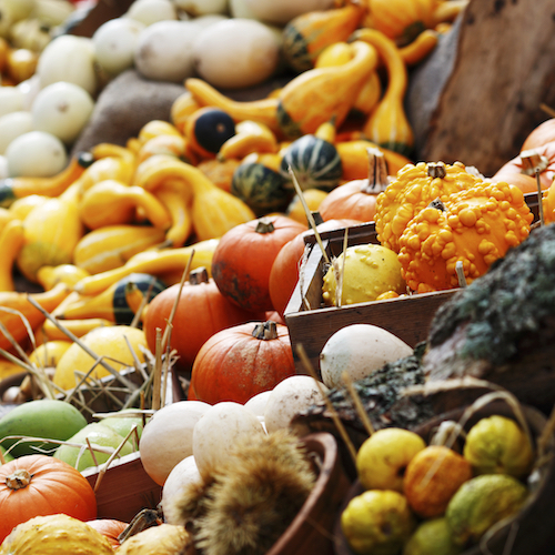 healthy-fall-produce-to-add-to-your-grocery-list-memd