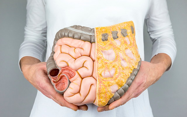 blog-digestive-disorders